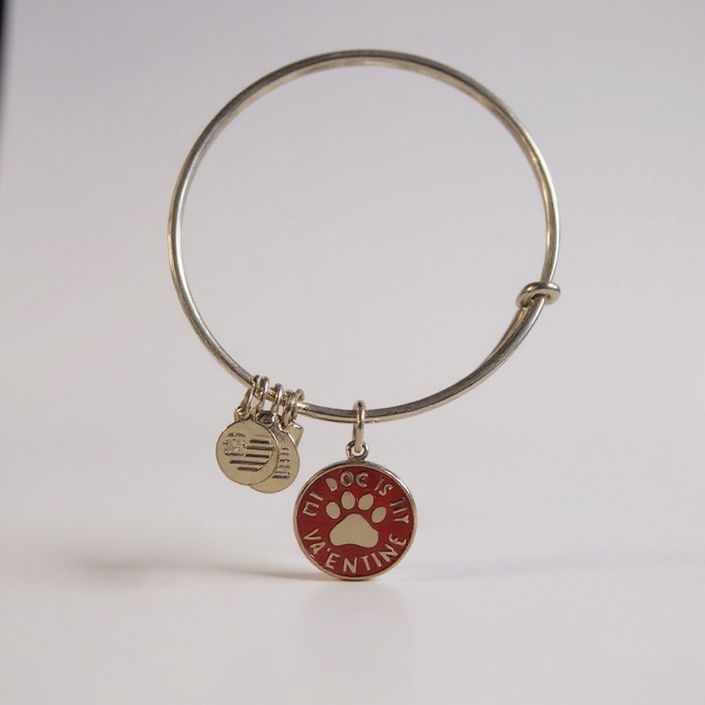 Alex and Ani I Love Dogs My Valentine Paw Print Charm Bangle ❤️🐶🐾